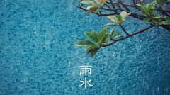 香云盖雨水直播